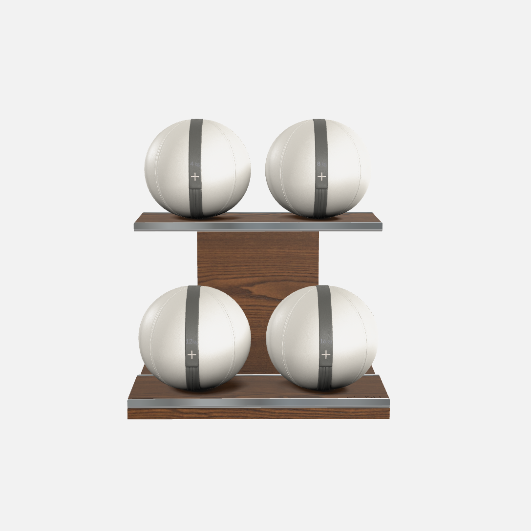Moxa Leather Medicine Ball Set, Light