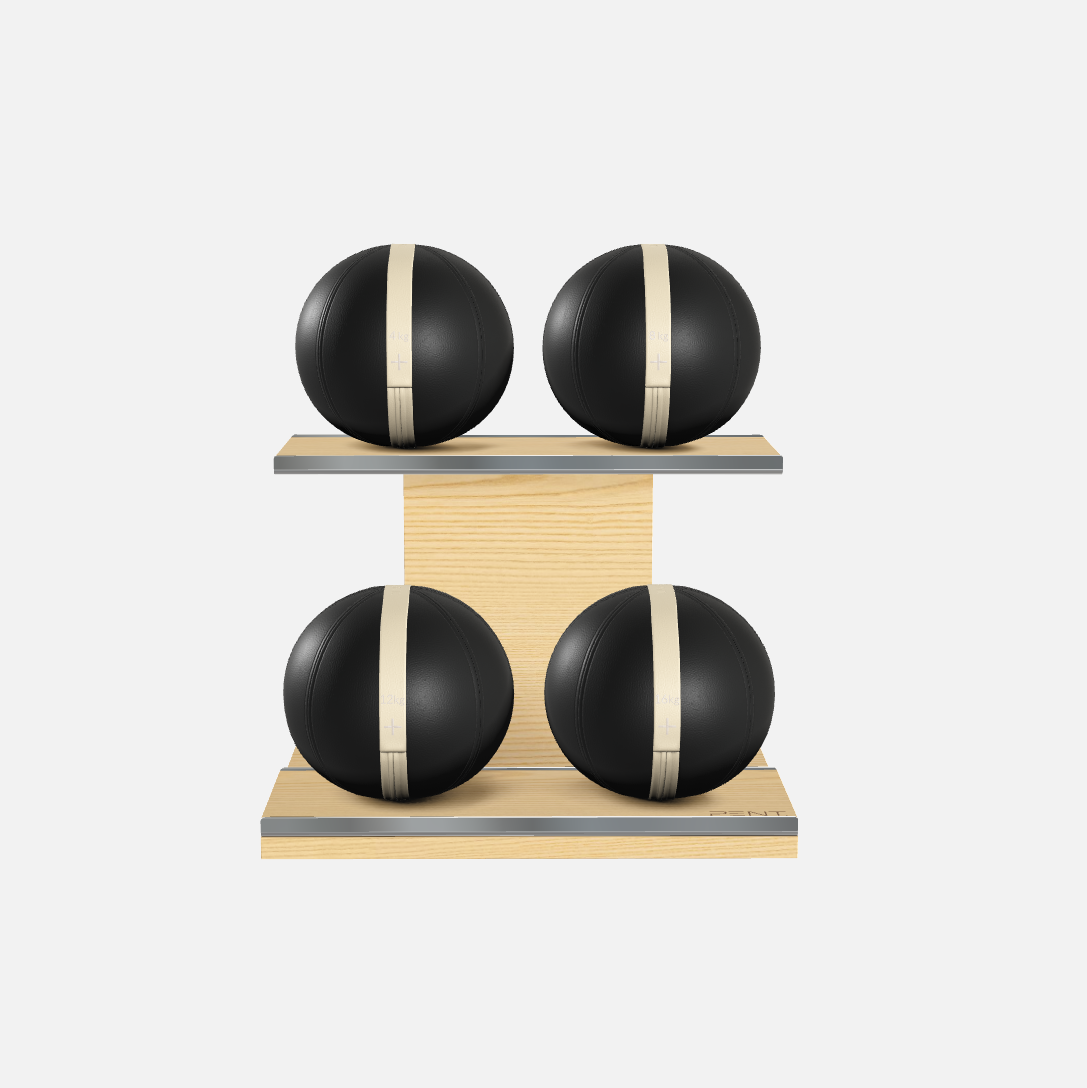 Moxa Leather Medicine Ball Set, Light
