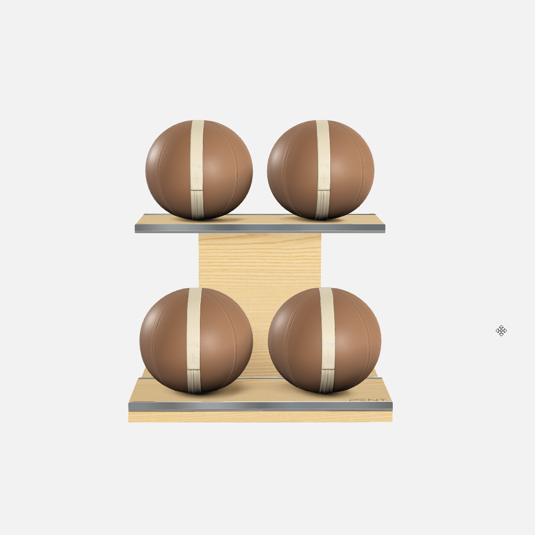 Moxa Leather Medicine Ball Set, Light