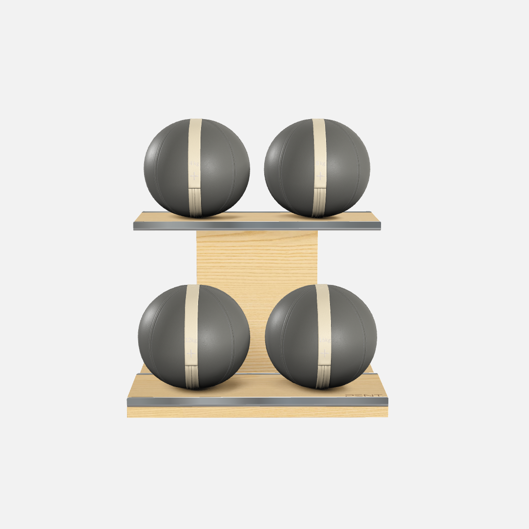 Moxa Leather Medicine Ball Set, Light
