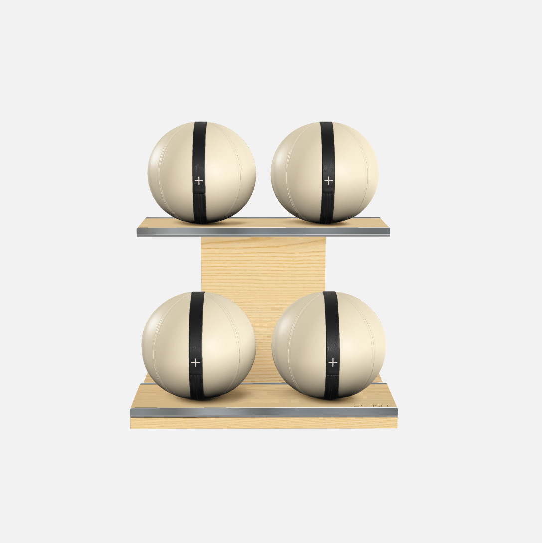 Moxa Leather Medicine Ball Set, Light