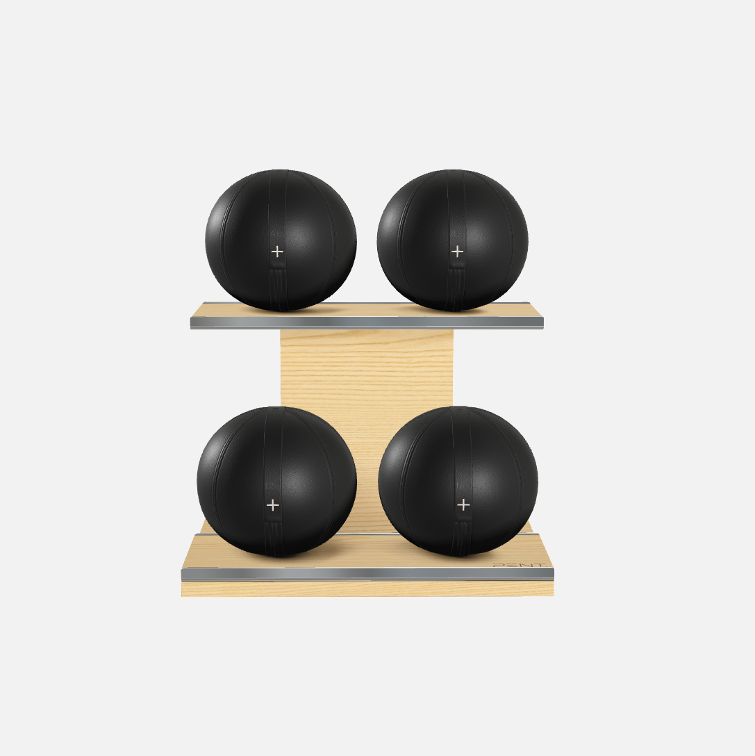 Moxa Leather Medicine Ball Set, Light