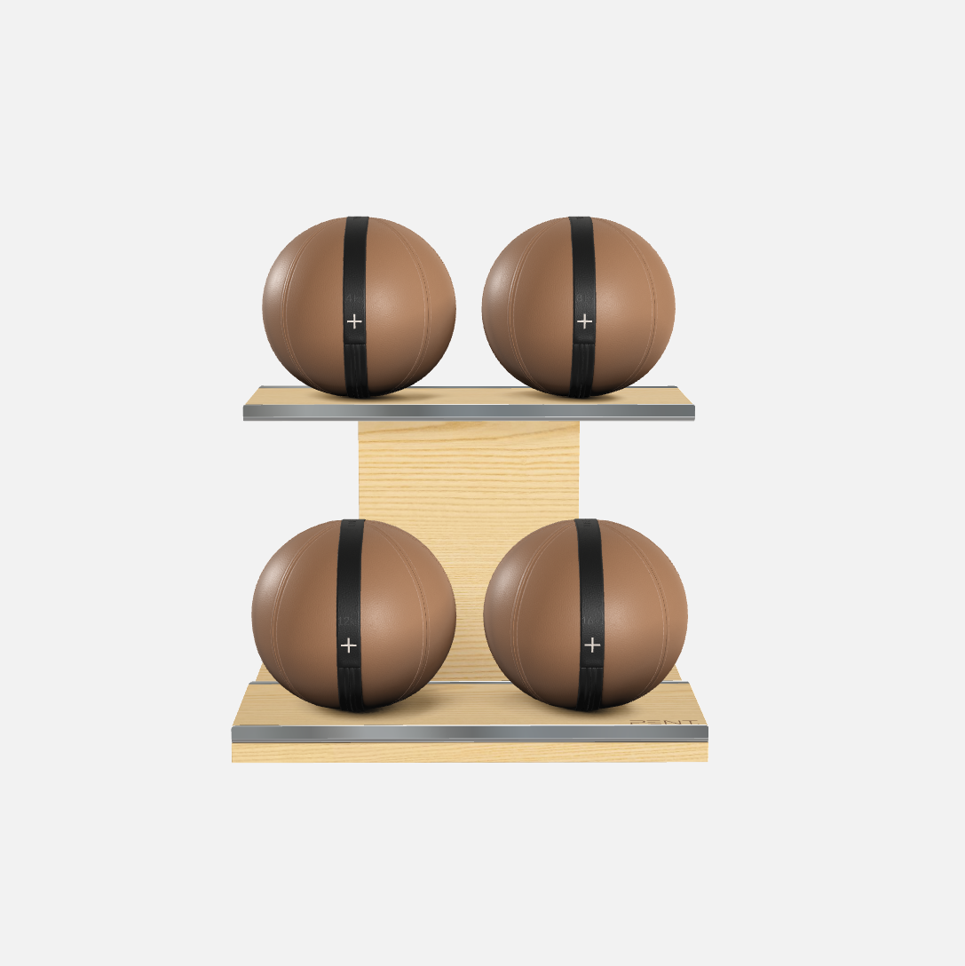 Moxa Leather Medicine Ball Set, Power