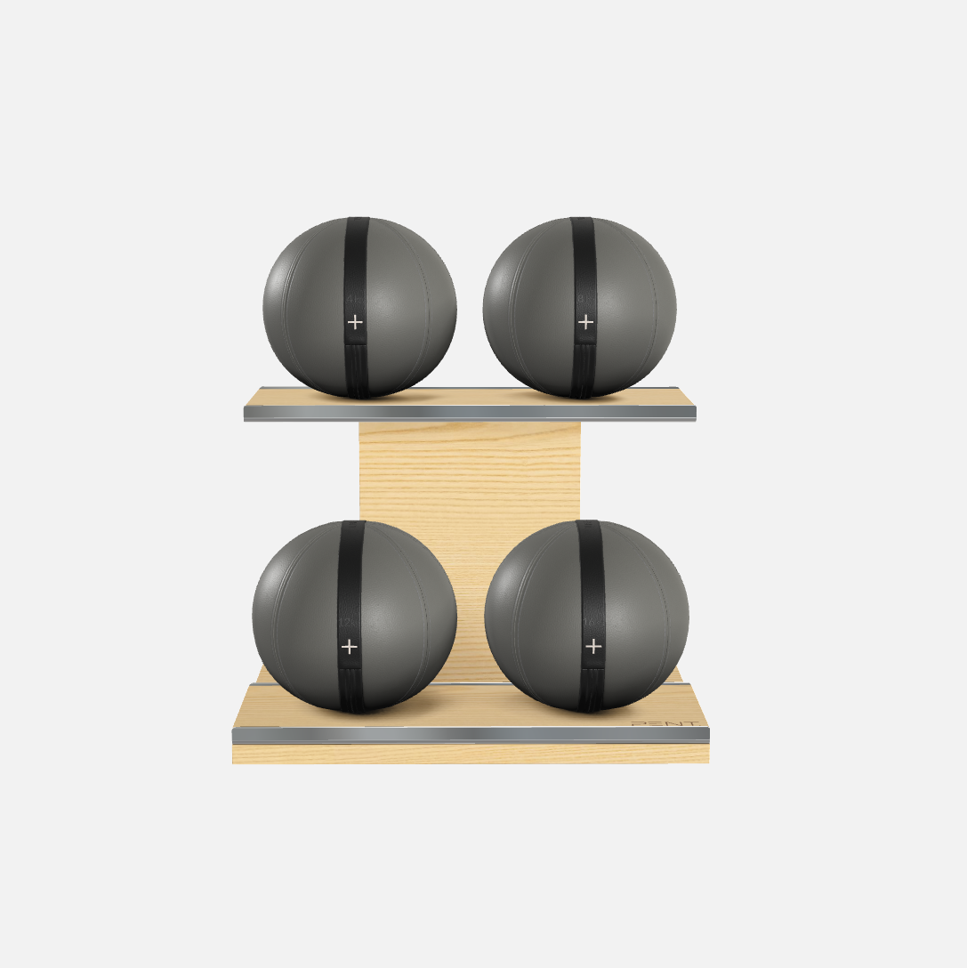 Moxa Leather Medicine Ball Set, Light