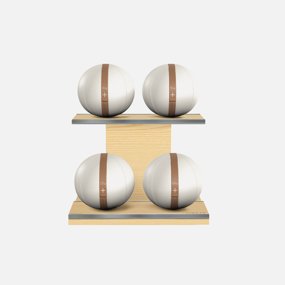 Moxa Leather Medicine Ball Set, Light