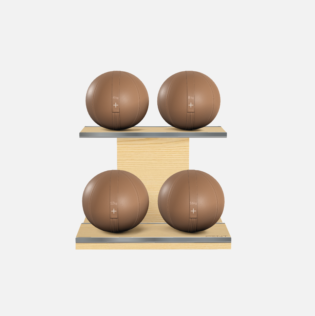 Moxa Leather Medicine Ball Set, Light