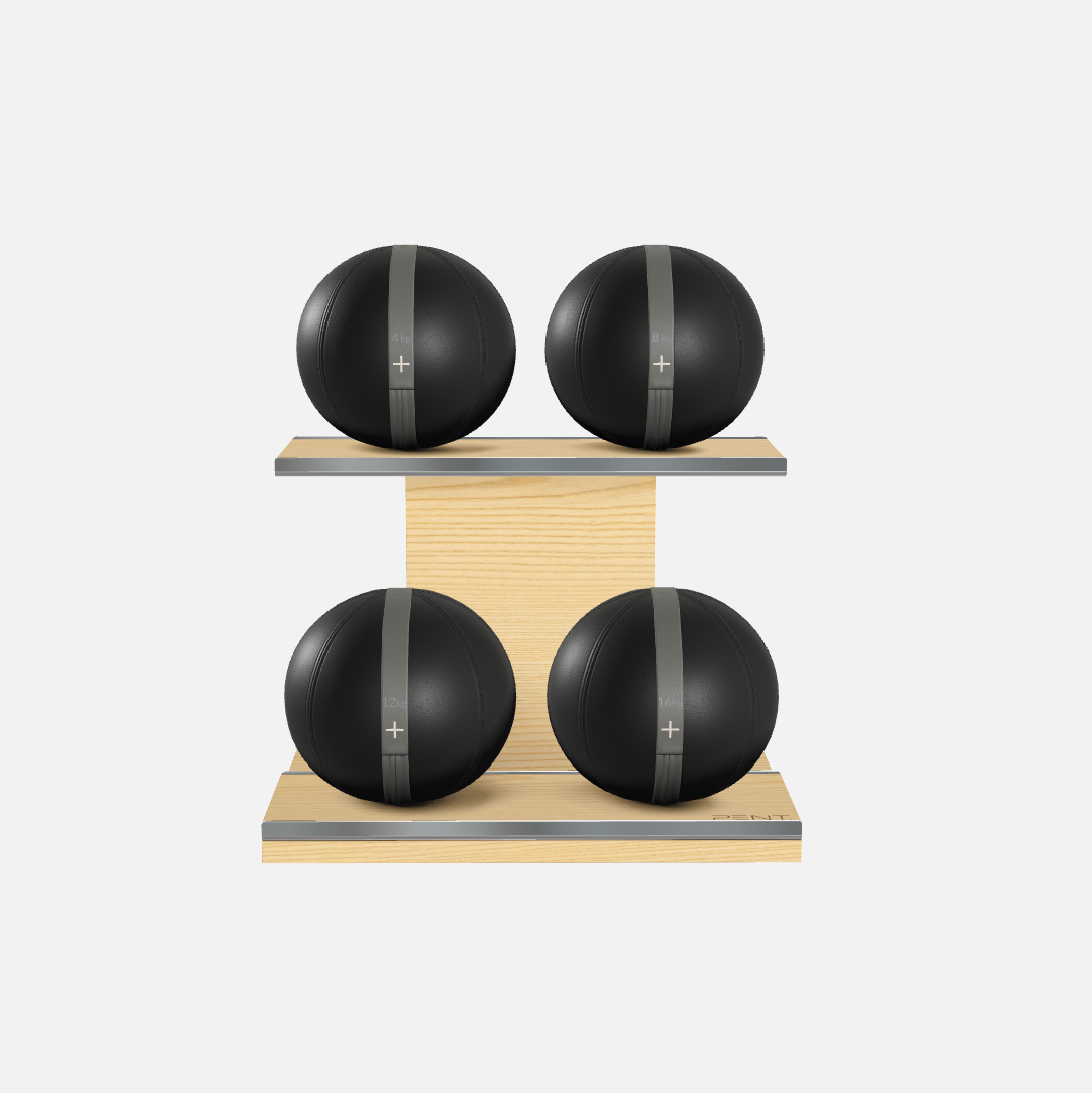 Moxa Leather Medicine Ball Set, Light