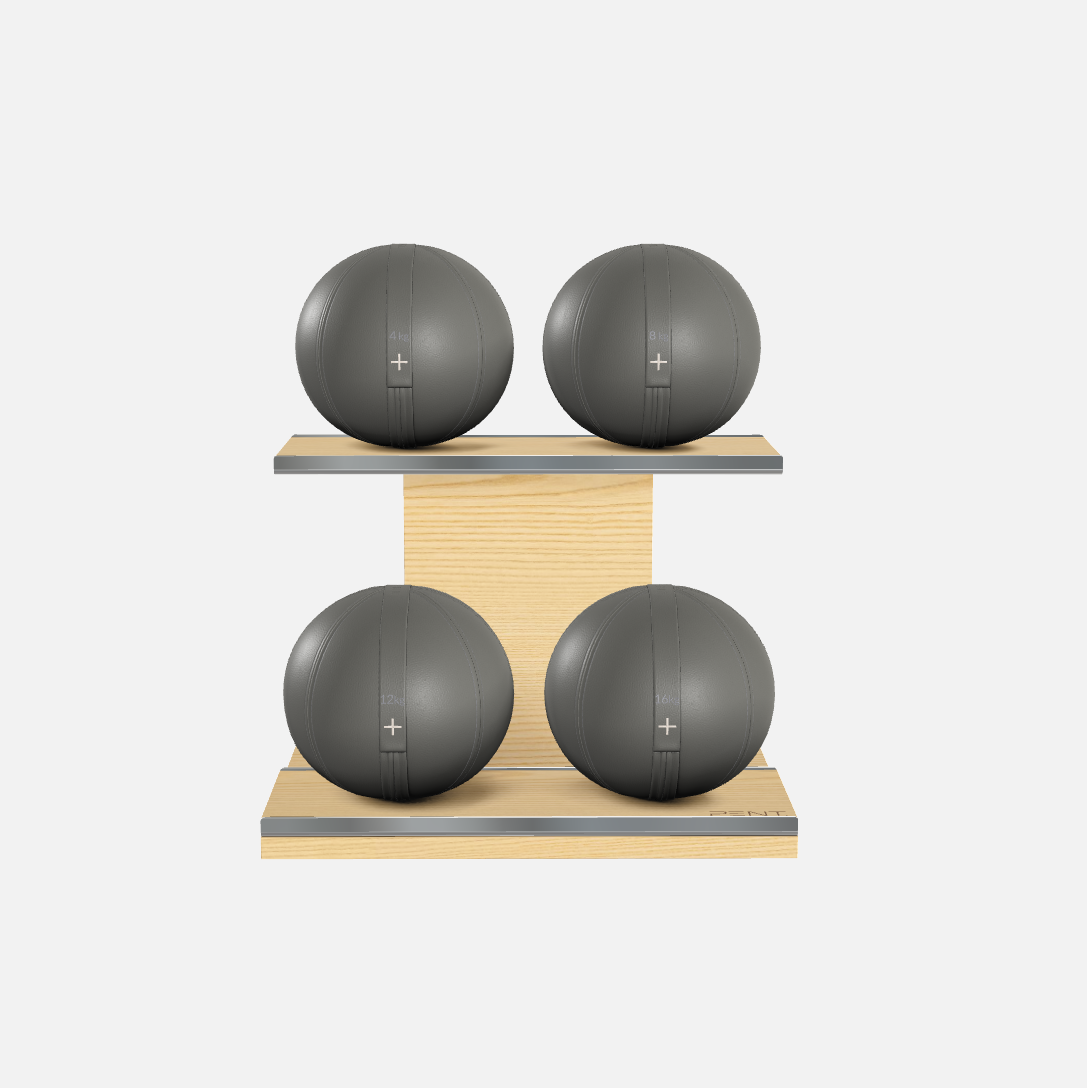 Moxa Leather Medicine Ball Set, Light