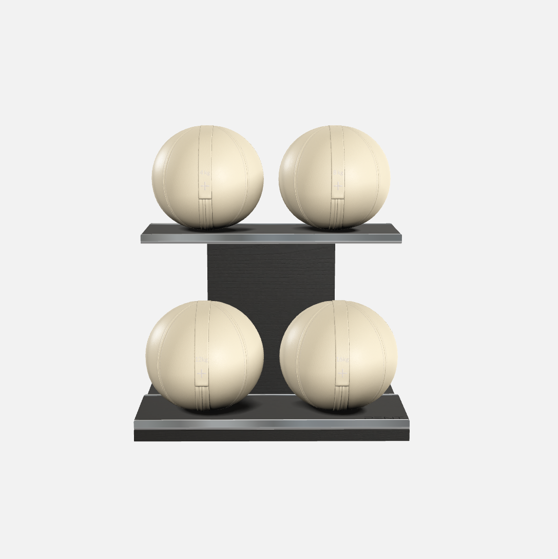 Moxa Leather Medicine Ball Set, Light