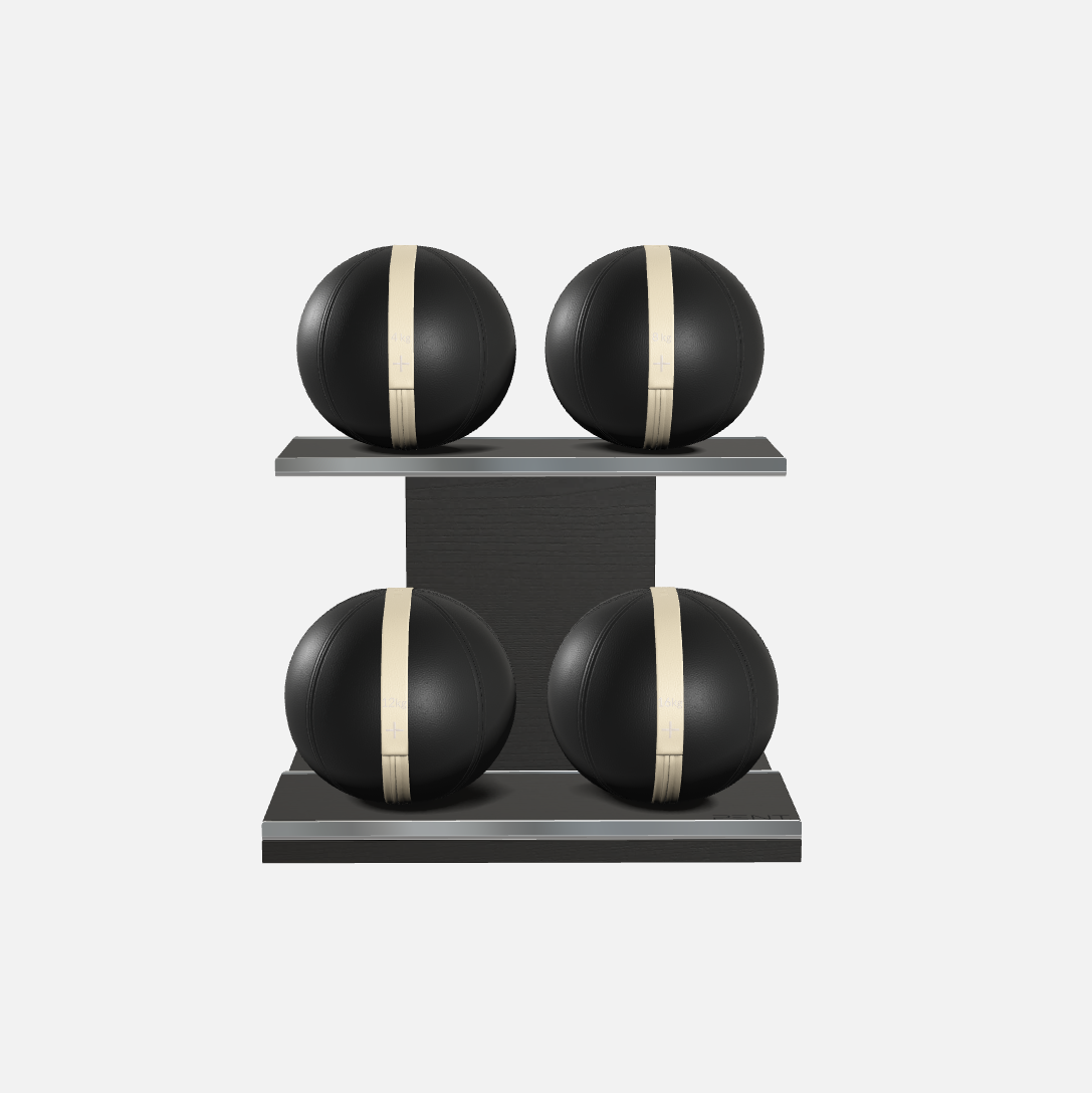 Moxa Leather Medicine Ball Set, Power