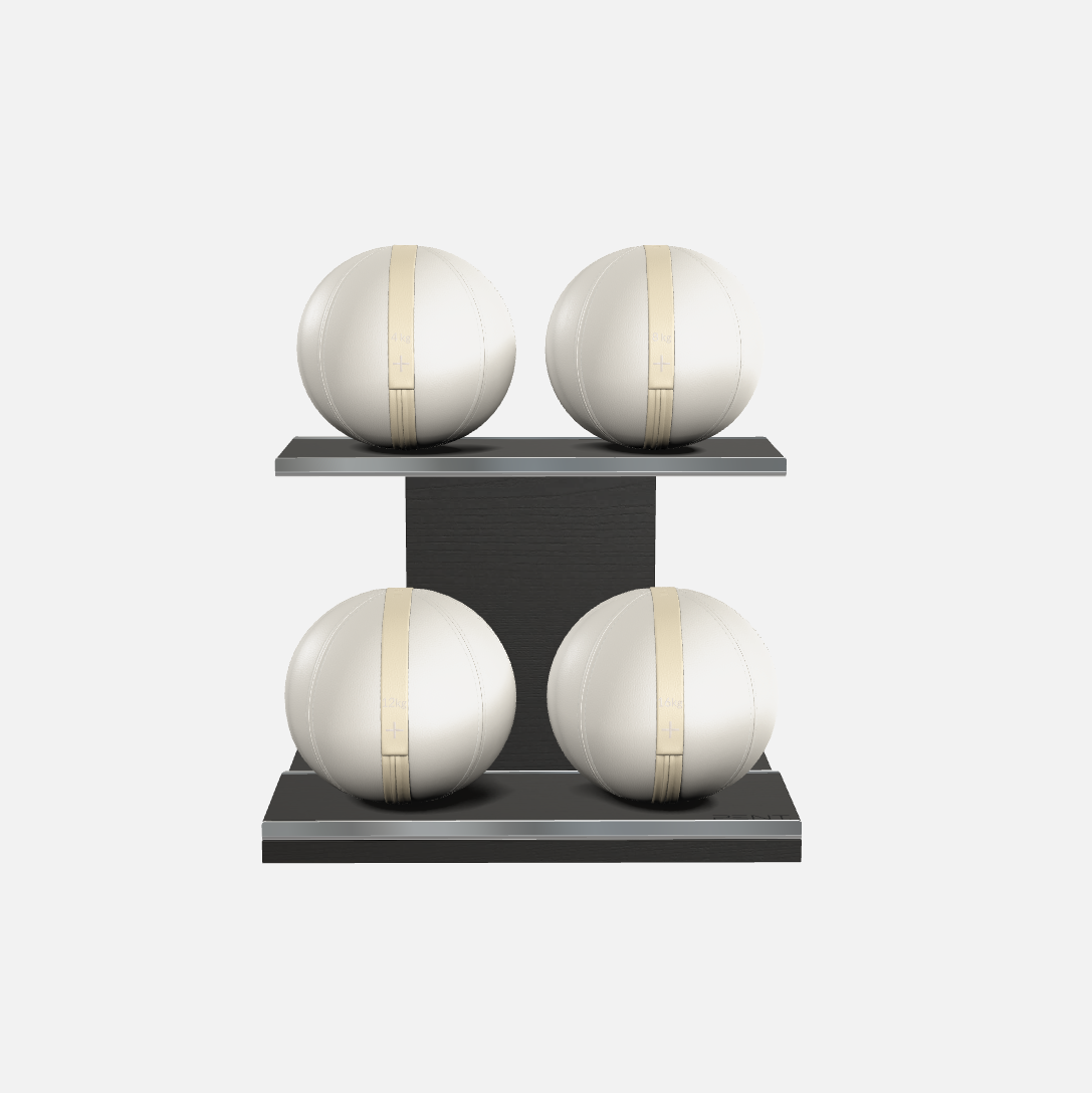 Moxa Leather Medicine Ball Set, Light