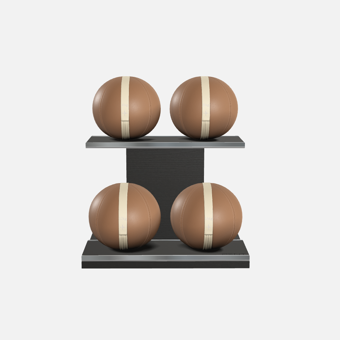Moxa Leather Medicine Ball Set, Light