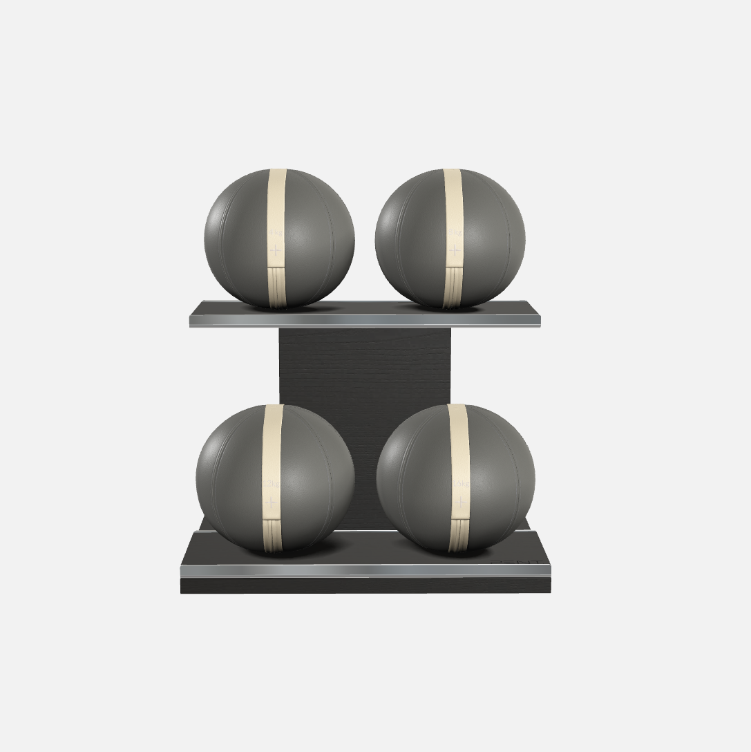 Moxa Leather Medicine Ball Set, Light