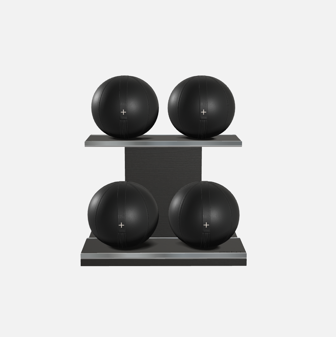 Moxa Leather Medicine Ball Set, Light