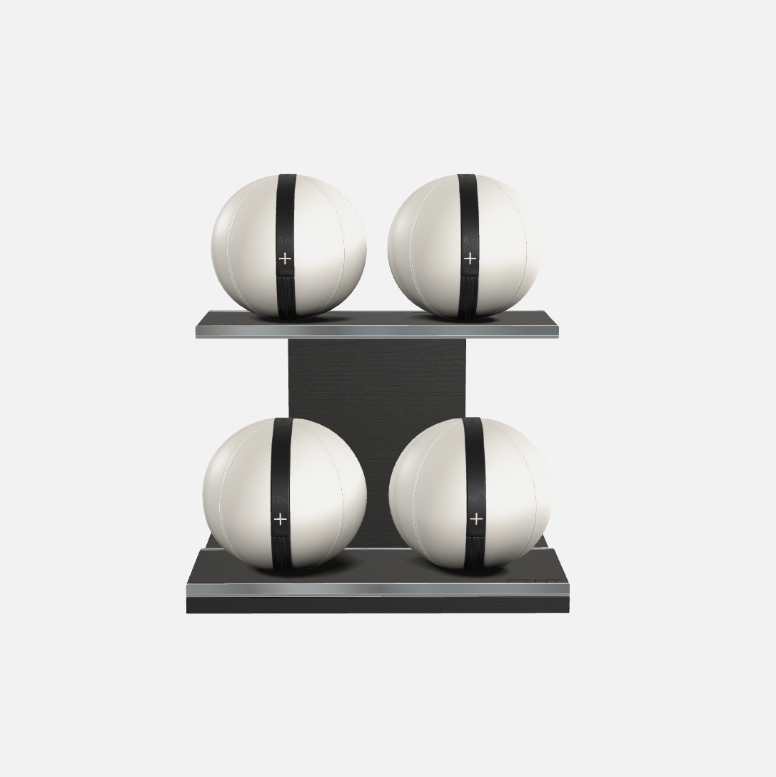 Moxa Leather Medicine Ball Set, Light