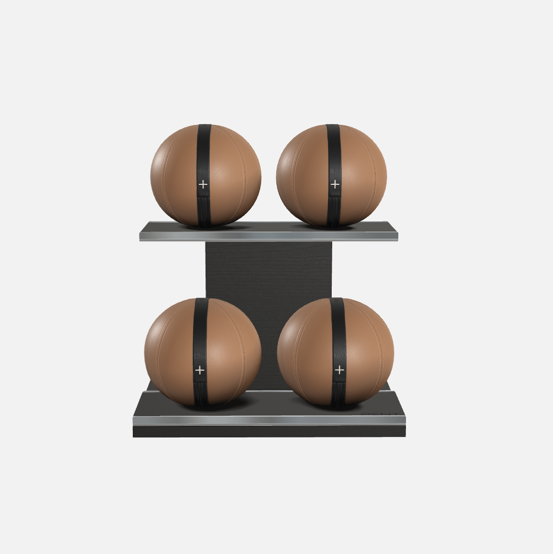 Moxa Leather Medicine Ball Set, Light