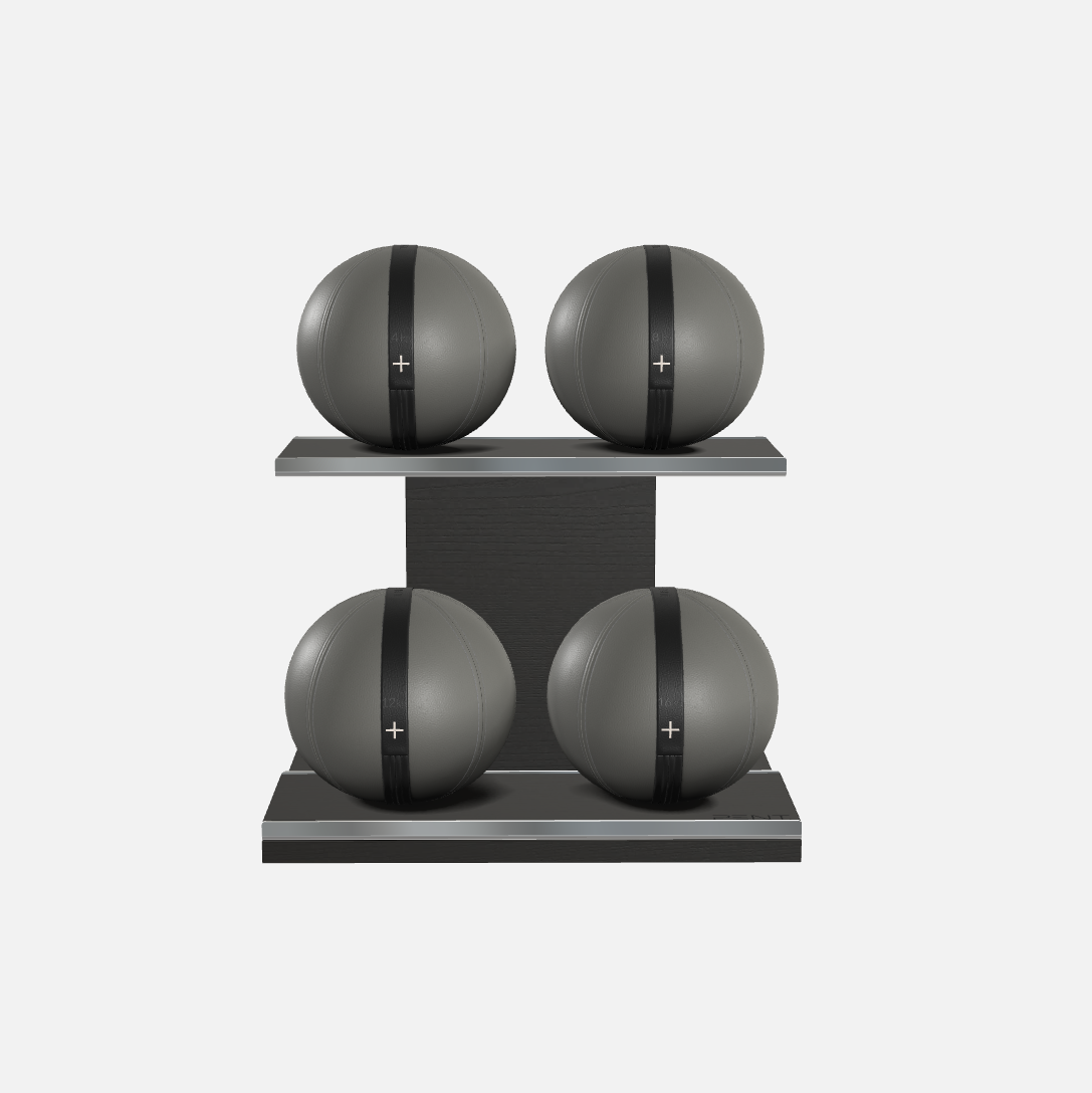 Moxa Leather Medicine Ball Set, Light
