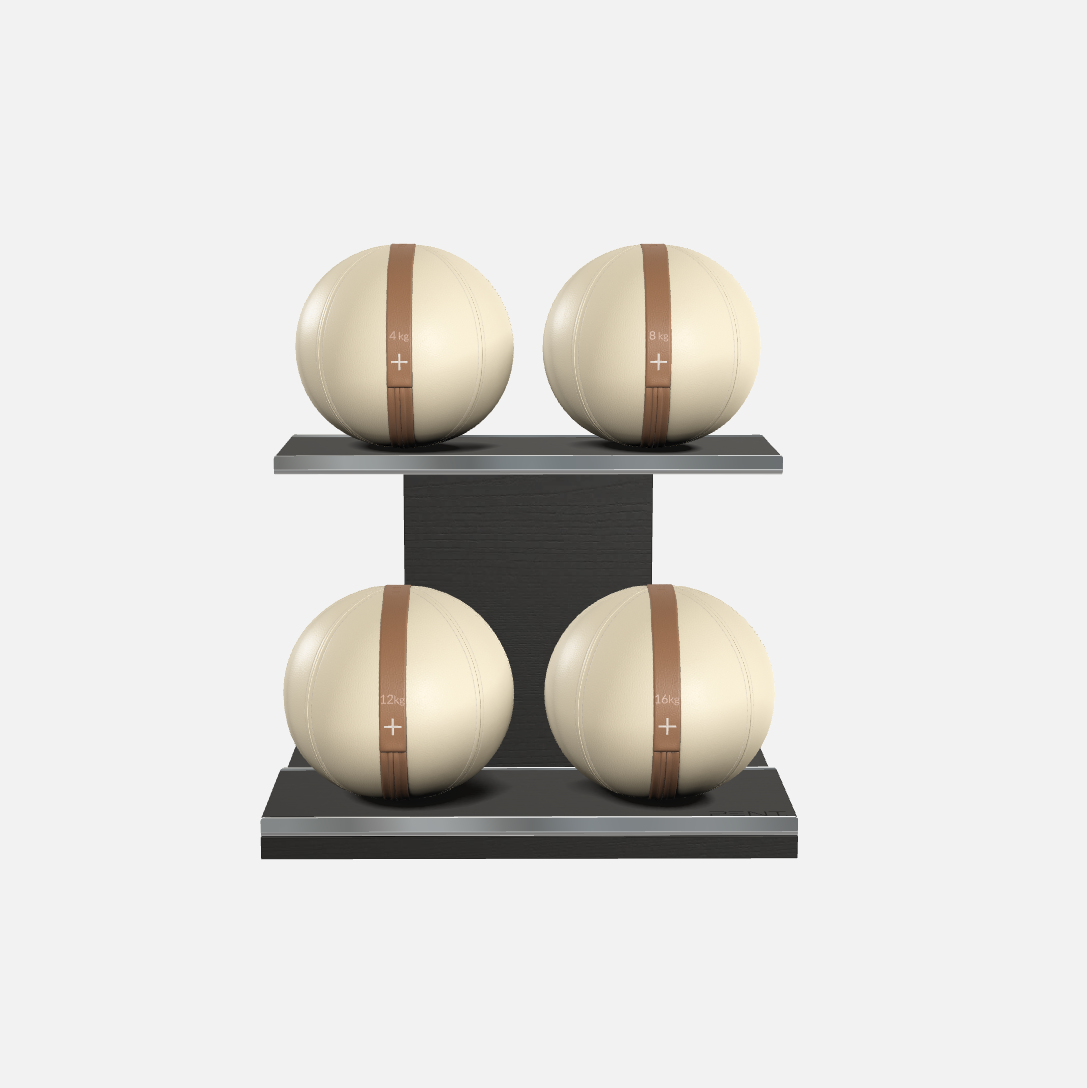 Moxa Leather Medicine Ball Set, Light