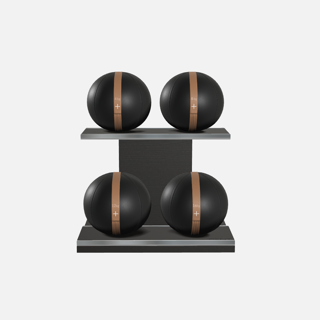 Moxa Leather Medicine Ball Set, Light