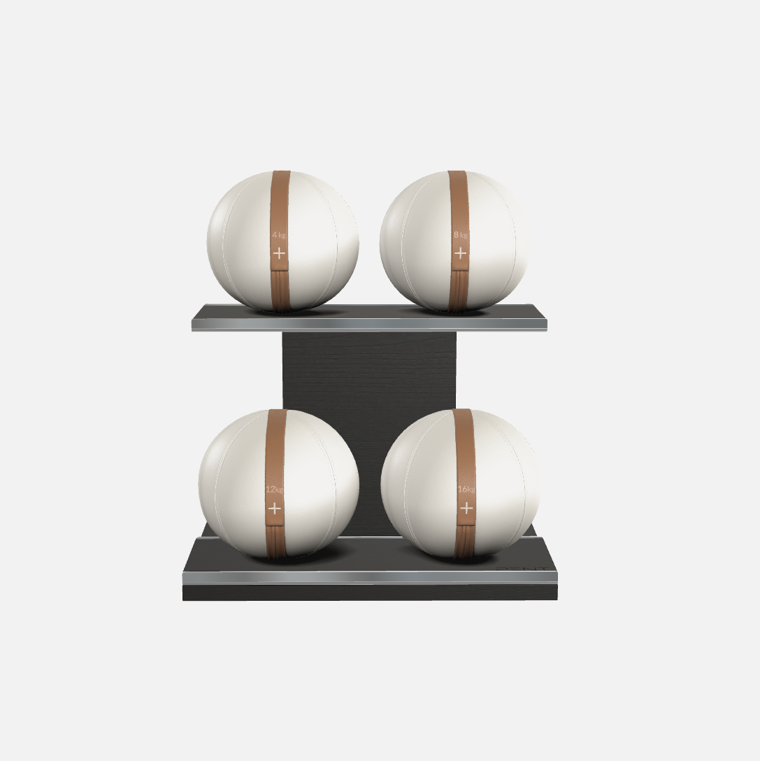 Moxa Leather Medicine Ball Set, Light