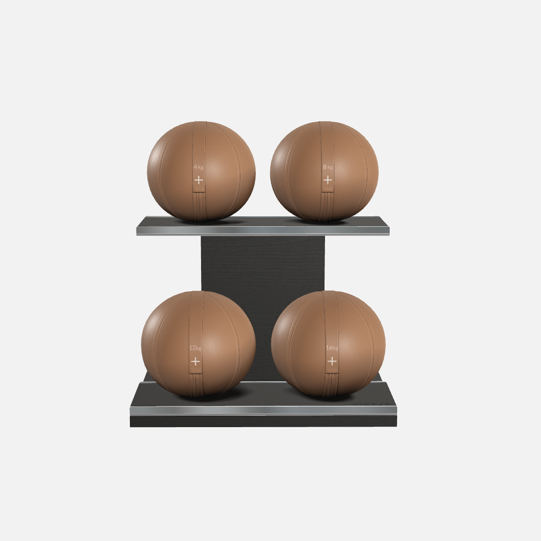 Moxa Leather Medicine Ball Set, Light