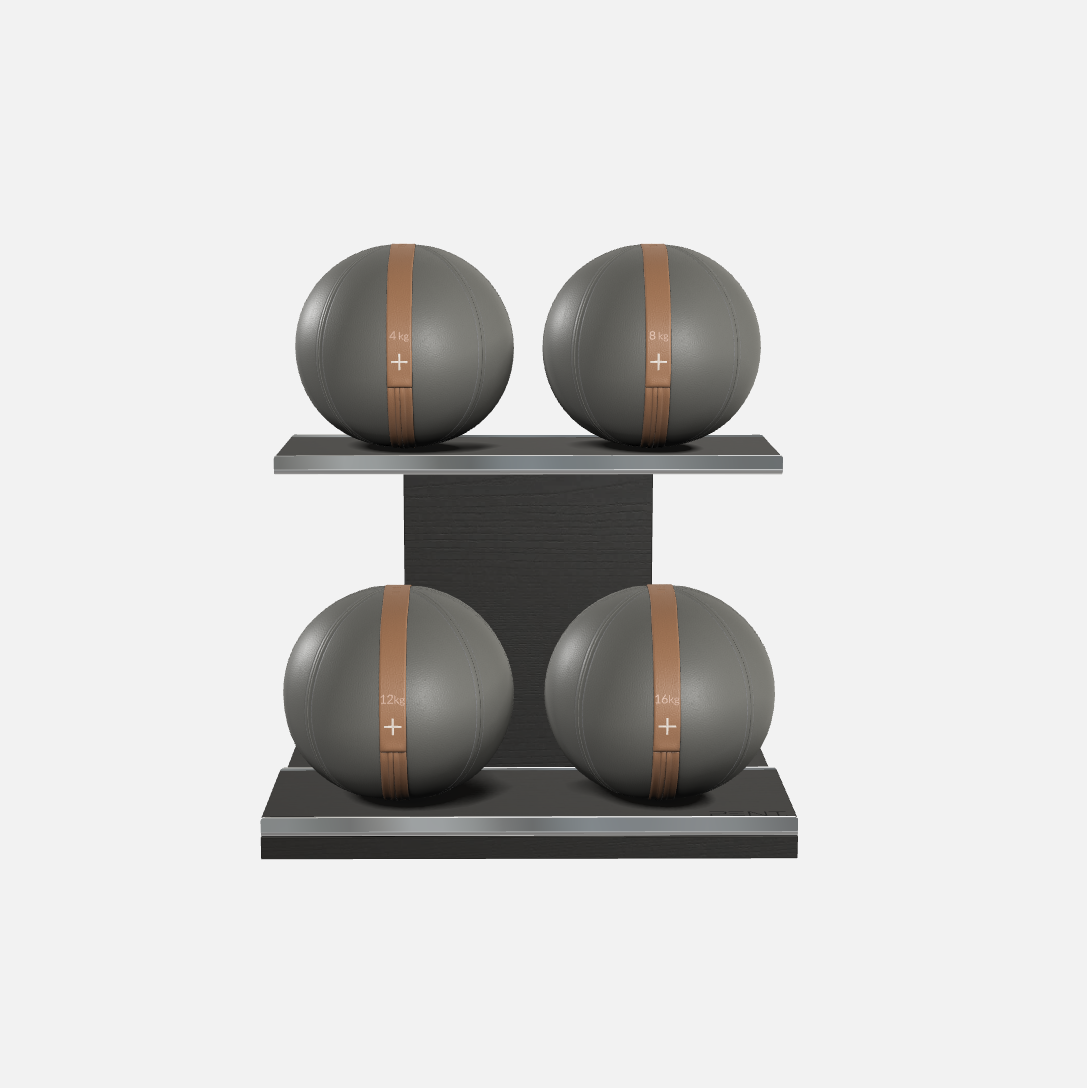 Moxa Leather Medicine Ball Set, Light