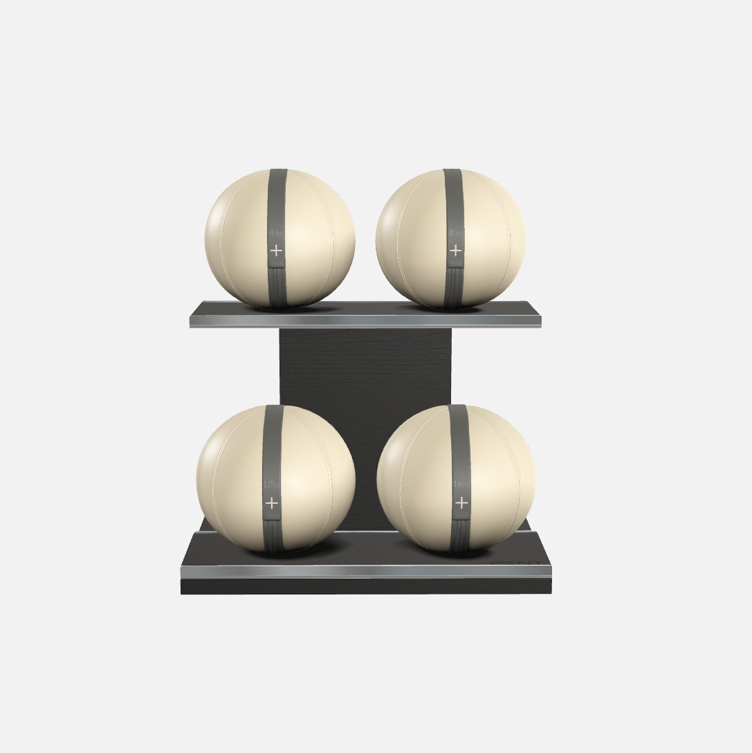 Moxa Leather Medicine Ball Set, Light