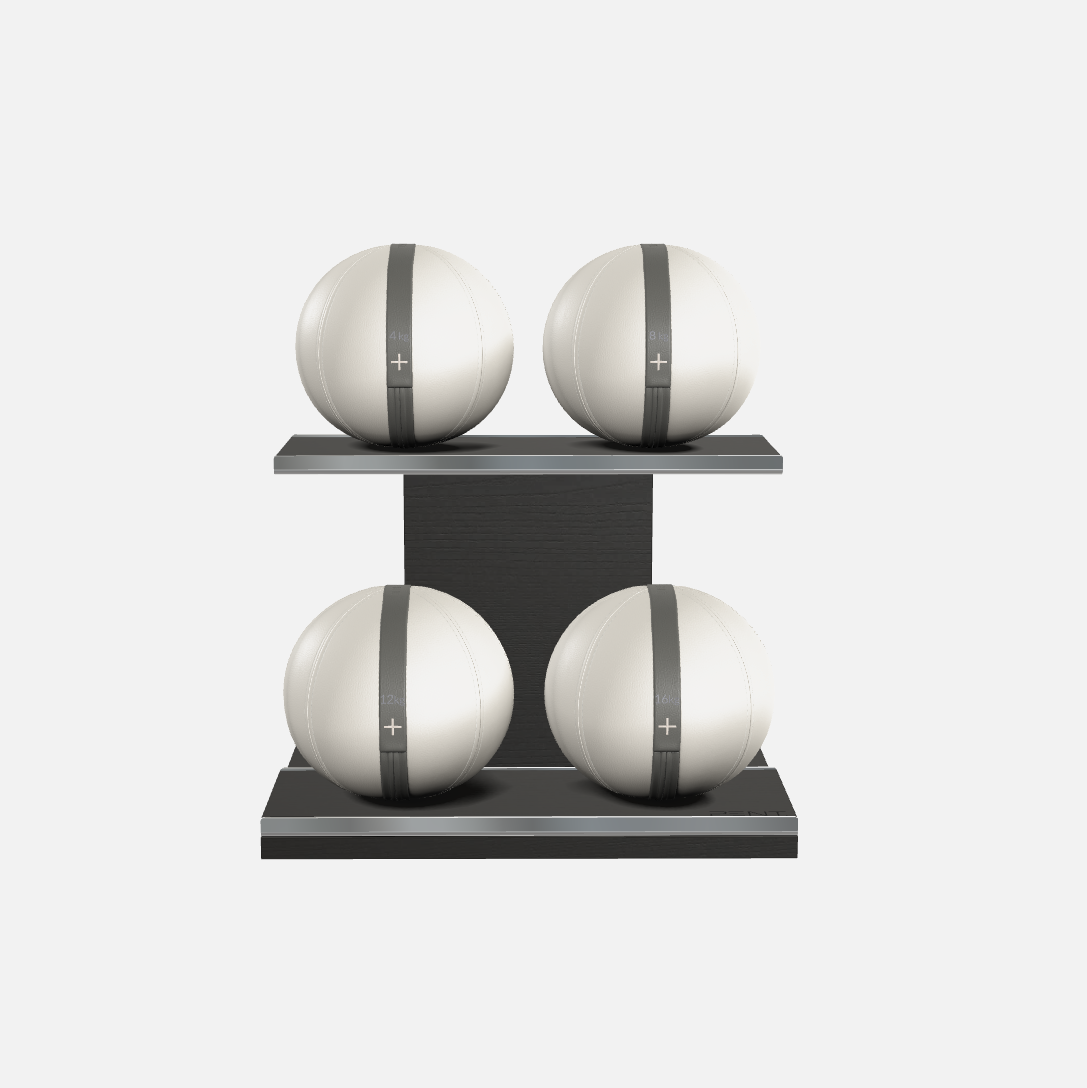 Moxa Leather Medicine Ball Set, Light