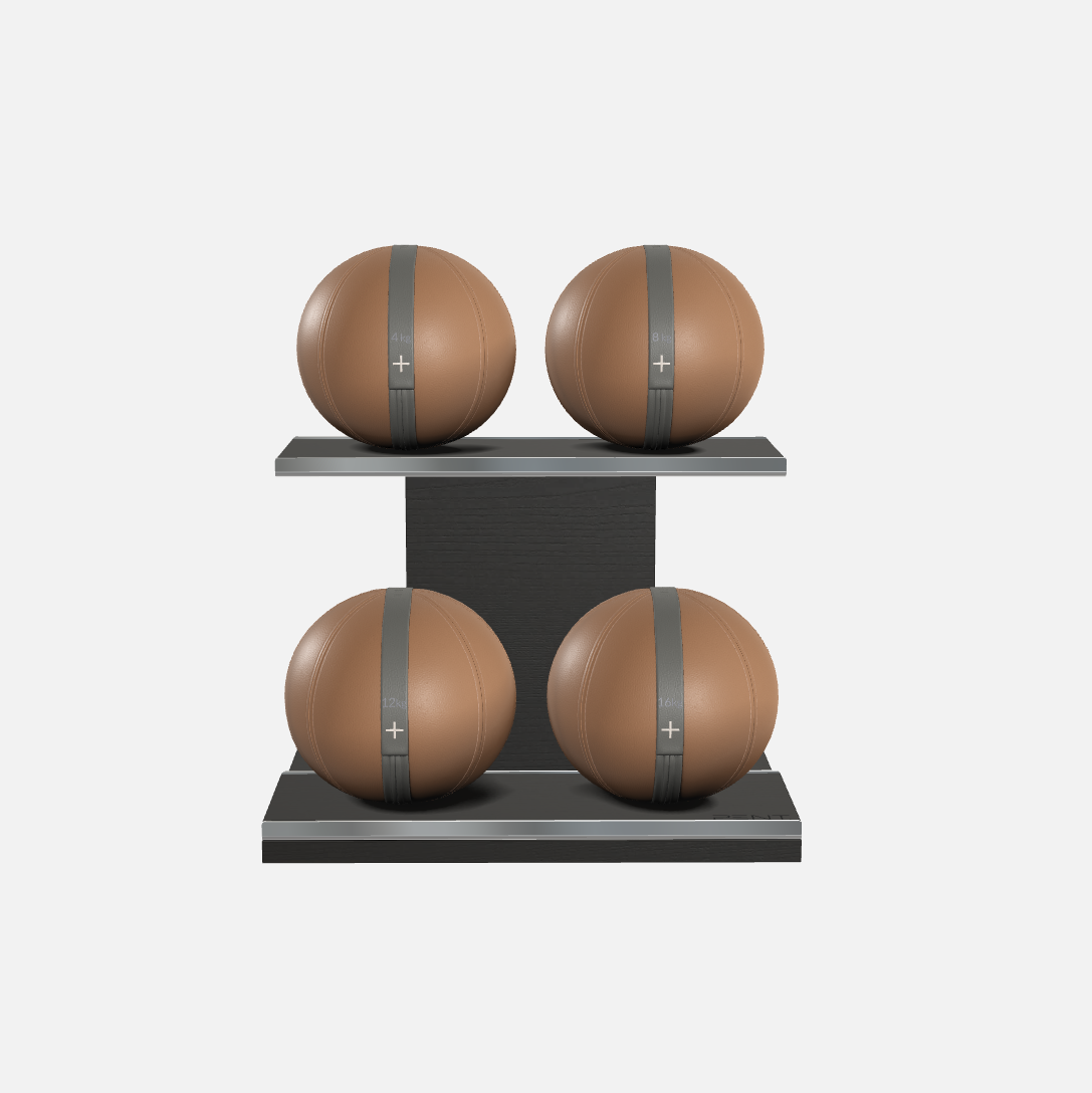 Moxa Leather Medicine Ball Set, Light
