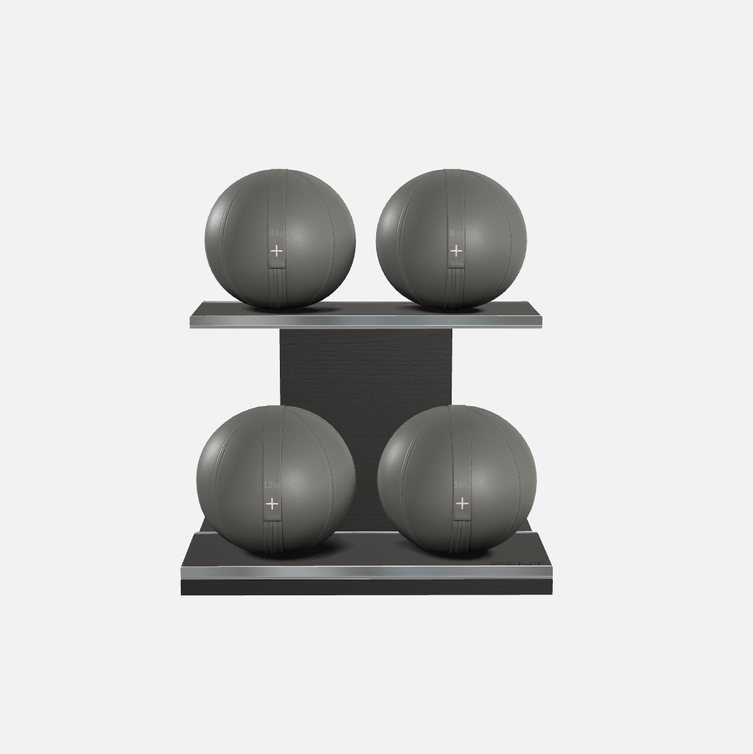 Moxa Leather Medicine Ball Set, Light