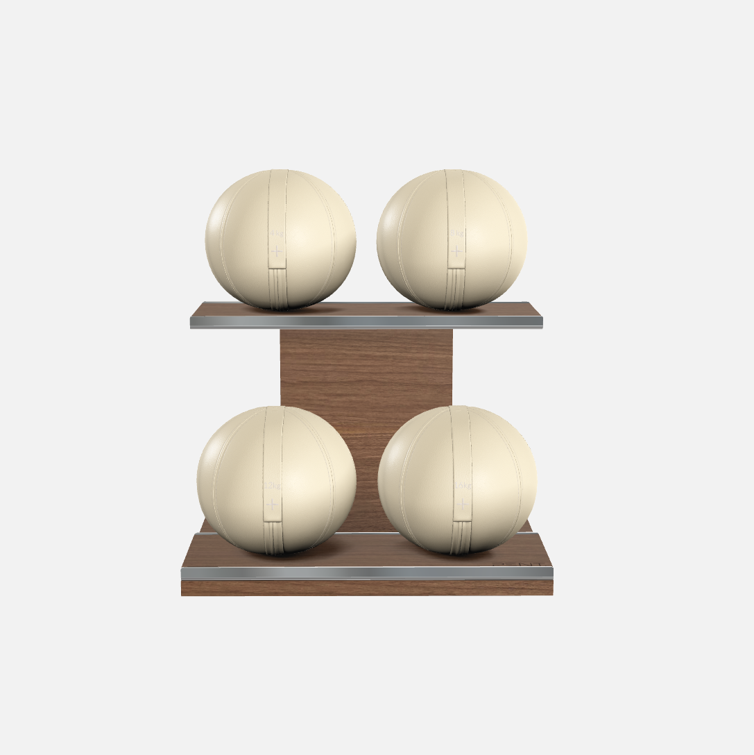 Moxa Leather Medicine Ball Set, Light