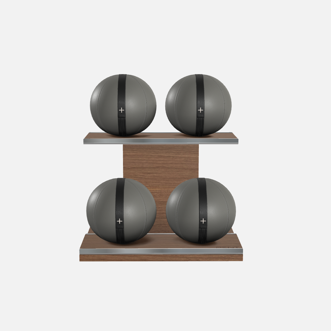 Moxa Leather Medicine Ball Set, Light