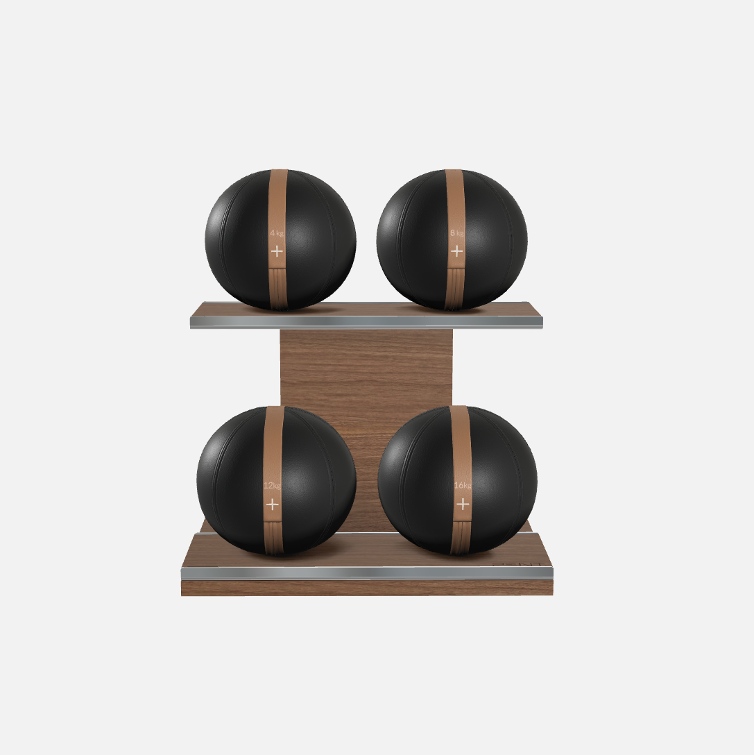 Moxa Leather Medicine Ball Set, Power