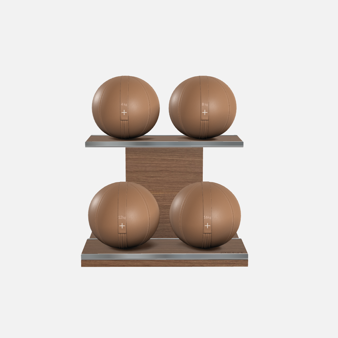 Moxa Leather Medicine Ball Set, Light