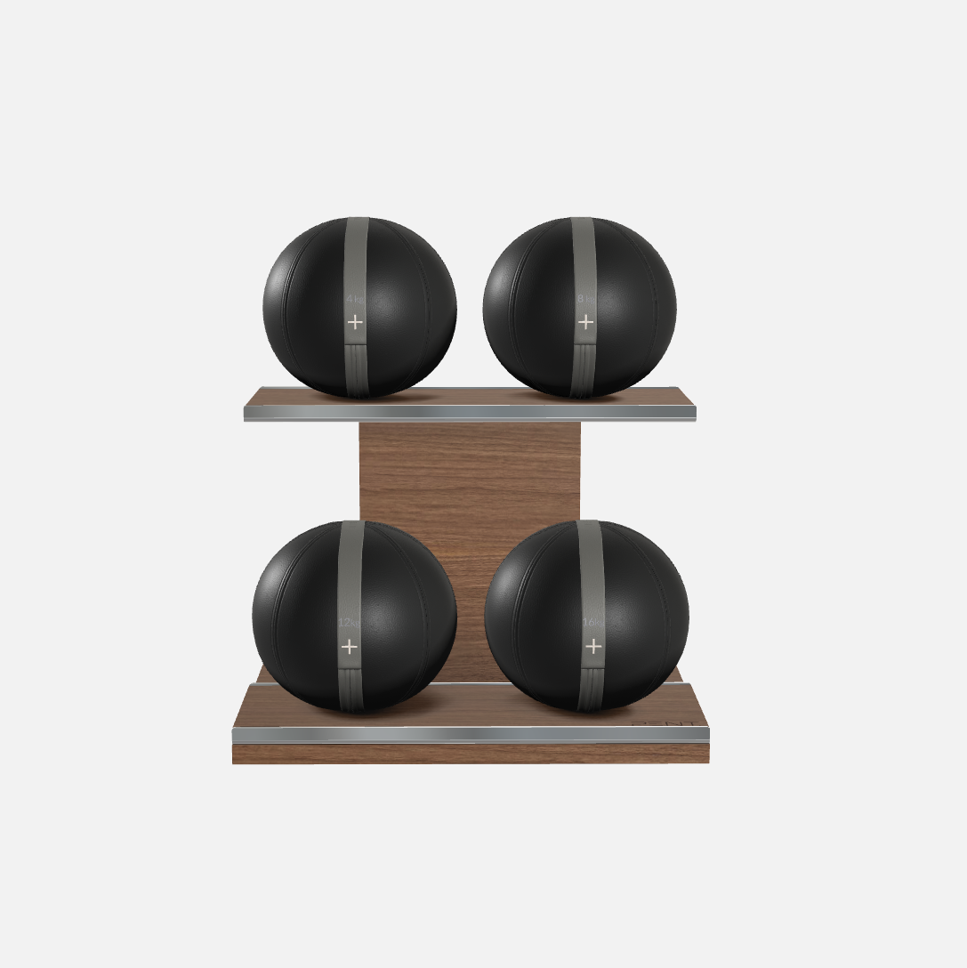 Moxa Leather Medicine Ball Set, Light