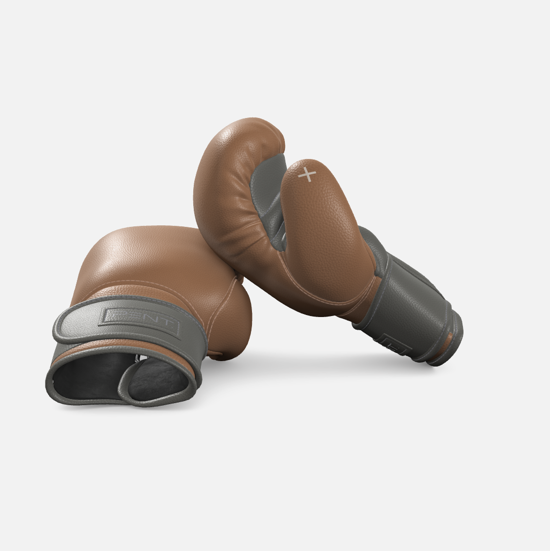 Raxa Leather Boxing Gloves